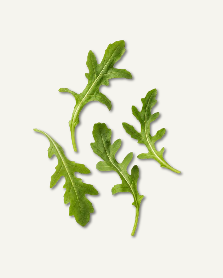 Arugula