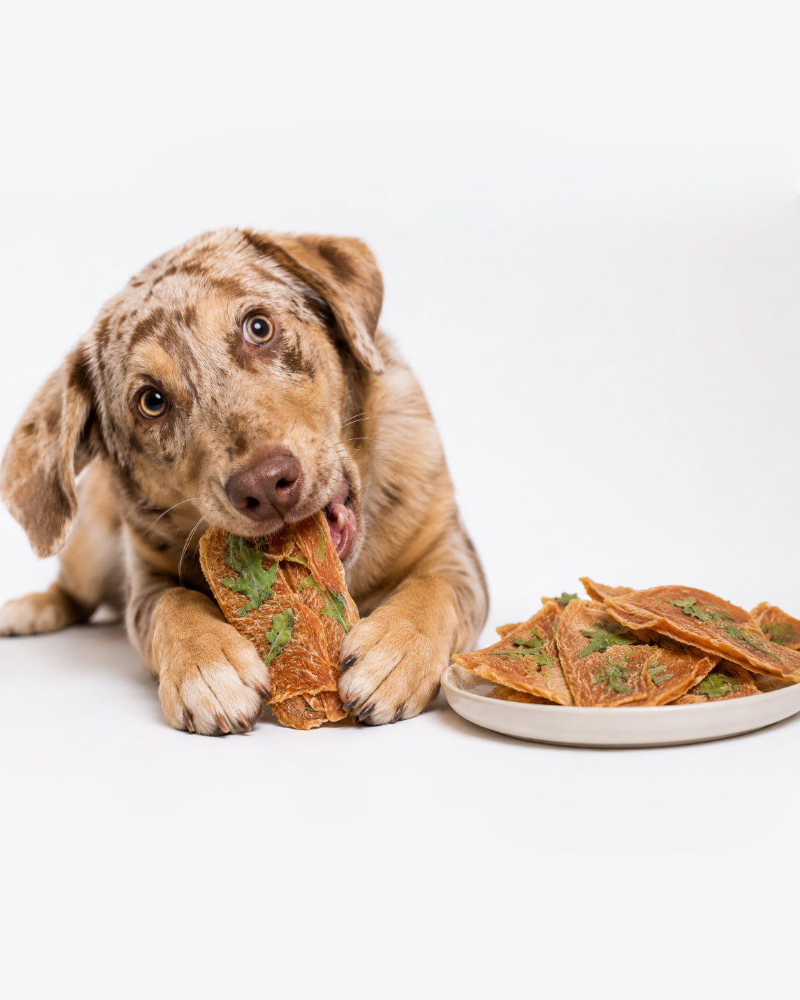 Chicken & Arugula Crisps